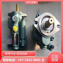 Taiwan Xuhong HHPC plunger P22-HL3-F-R-01 P22-HL3-F-R-01 P22-HL2-F-R-01 P22-HL1
