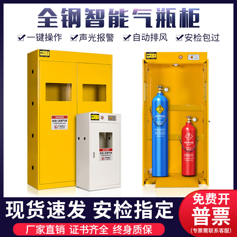 Explosion-proof gas cylinder cabinet hazardous chemicals storage cabinet all-steel oxygen acetylene cylinder laboratory double bottle chemical safety cabinet