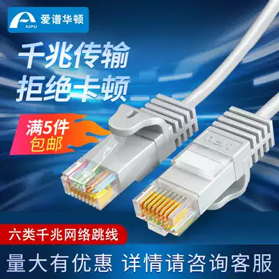 Ai Po Wharton Class 6 Type Network Route Home Gigabit Network Route Network Cable Jumper Connect Two Double Heads