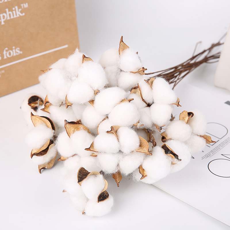 Natural wire long rod cotton dried flower bouquet decoration material Christmas tree pendant flower accessories