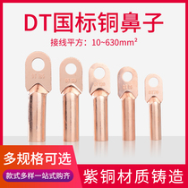 National Label A level DT10 16 25 25 50 50 95150185240 95150185240 95150185240 copper nose wiring terminals