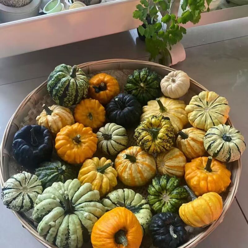 Mexican Gourd Decoration for Home, Play, Blessing, Holiday Gift, Decoration, Living Room Ornaments
