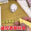 Remote Control Mouse Animal Model Simulation Toy Prank Prop Bionic Cat Teasing Gadget for Boys and Girls