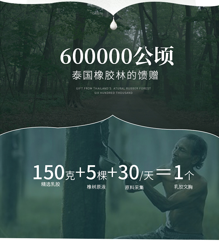 泰国乳胶无钢圈胸罩 图3