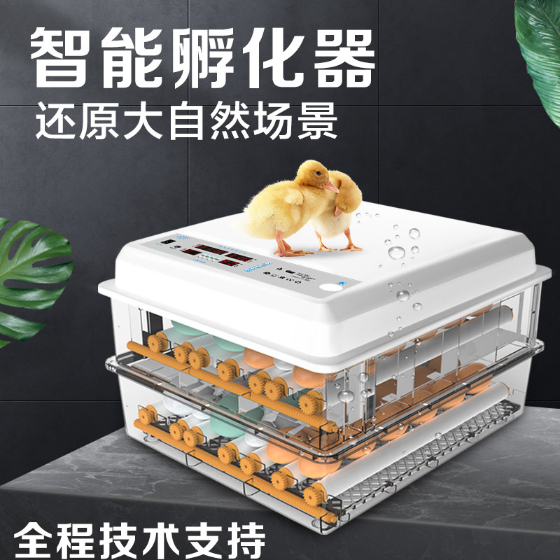 Incubator Incubator Automatic Small Hatchery Mini Home Smart Little Chicken Duck Goose Pigeon Incubator