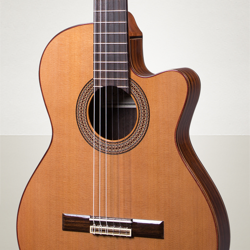 Aldamira N300CT - board box nylon string guitar thin barrel Indian rose wood