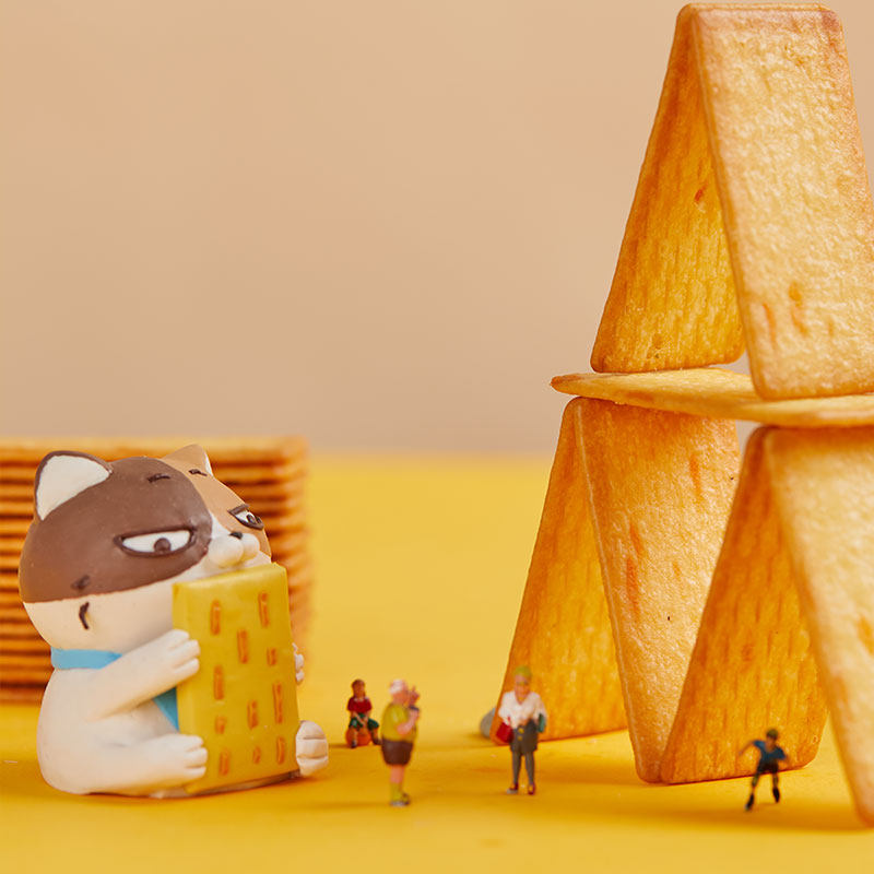 宅猫日记 岩烧芝士脆饼干 118g*5件 双重优惠折后￥24.8包邮