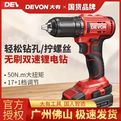 Large rechargeable electric drill Lithium electric drill multifunctional 20V small industrial grade tool electric screwdriver 5298
