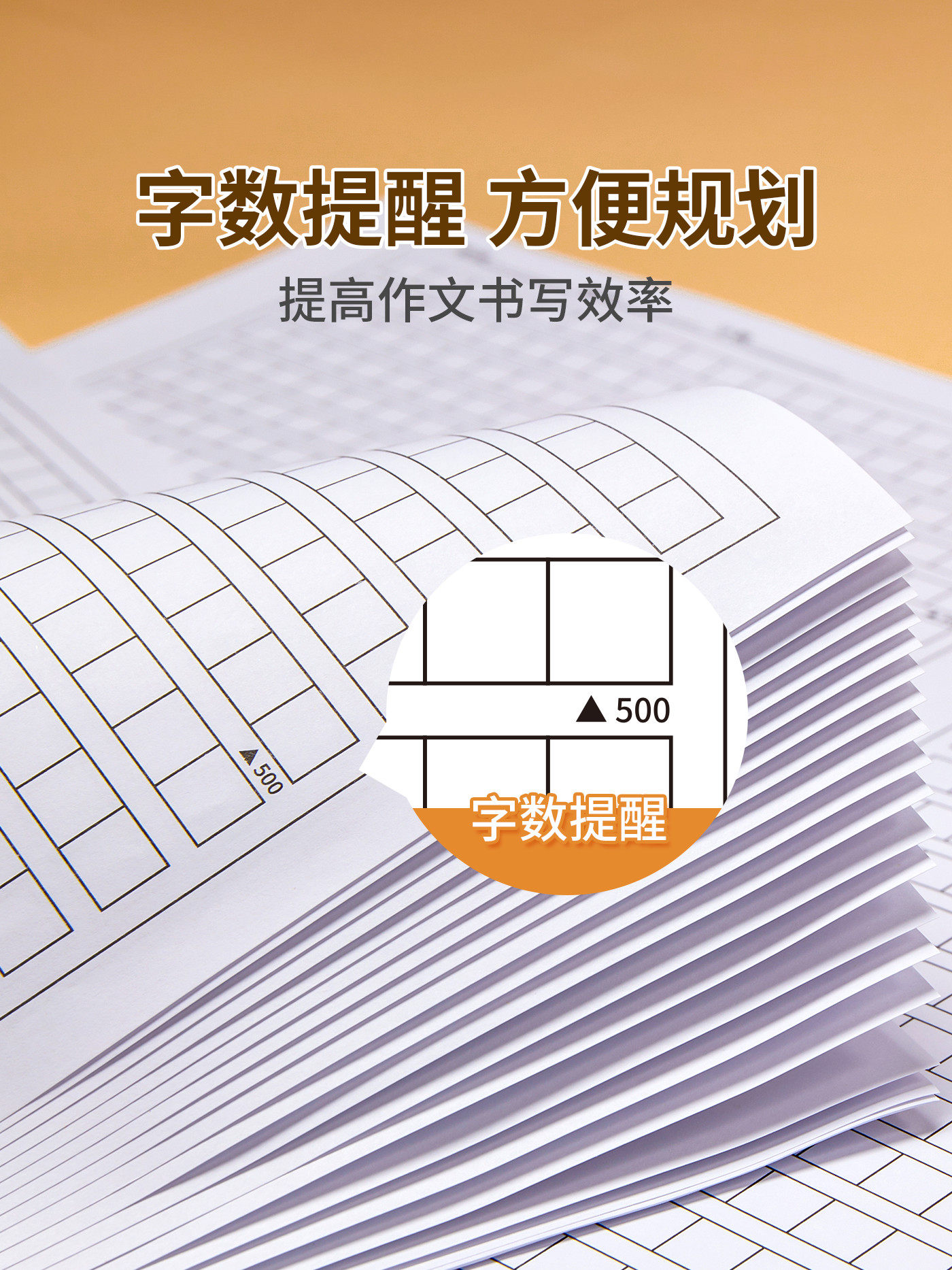 Liupintang Chinese Composition Paper, Special for Middle and High School, 800 Grid Thickened Grid Paper, Exam Answer Sheet, Composition Notebook