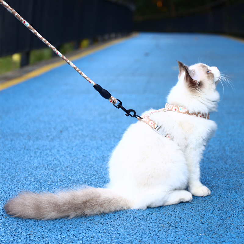 Kitty Traction Rope Anti-Escape Walking Cat Rope Cat Rope Special Home Chain Subgod Vest Style Out Chain