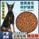 ອາຫານຫມາພິເສດສໍາລັບ Doberman Pinscher, ຊຸດໃຫຍ່, ອາຫານຫມາພິເສດສໍາລັບຫມາຜູ້ໃຫຍ່, 10 kg, 20 kg, 40 kg, ລົດຊາດຊີ້ນງົວທົ່ວໄປ
