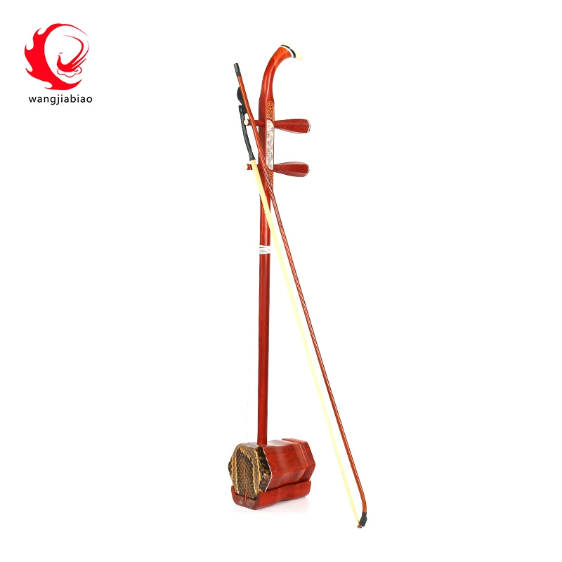 Nhạc cụ Wang Jiabiao Erhu chính hãng Người mới bắt đầu Người lớn Gỗ gụ Đàn hương đen Đàn hương Đàn nhị Phụ kiện quà tặng - Nhạc cụ dân tộc