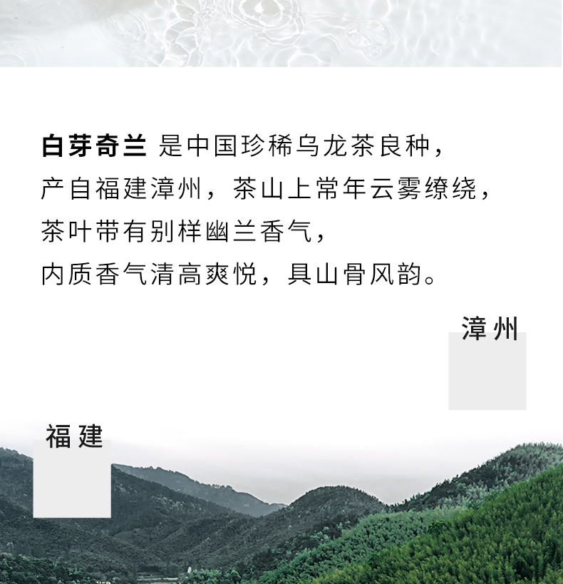 【柠檬共和国】白芽奇兰鲜柠檬茶360ml*6
