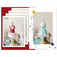 Поклятная крышка для домашних животных, модель домашней одежды для собак, собачья одежда, стрельба по реквизиту