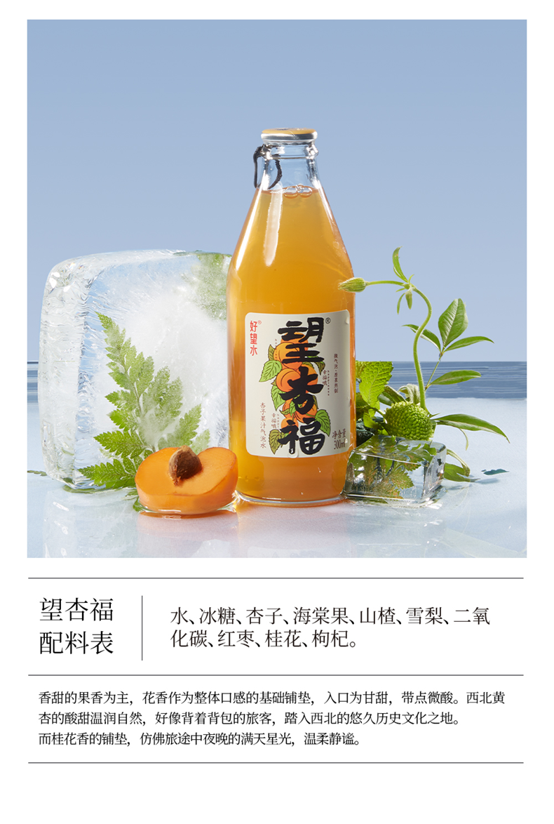 好望水气泡水饮料果汁饮品300ml*6