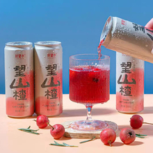 望山楂清爽果汁解腻健康饮料6罐