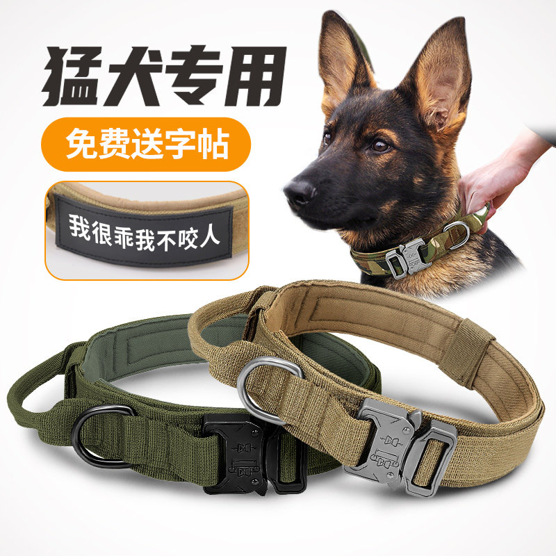 Dog Neckline Golden Fur Haschilabrador Dog Card Lettering Traction Rope Mid-sized Large Canine Dog Neck Ring Dog Collar