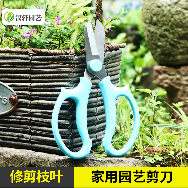 Han Xuan gardening floral scissors Wide head Home flower scissors potted plants trim flowers branches and branches Repair flower pruning tools