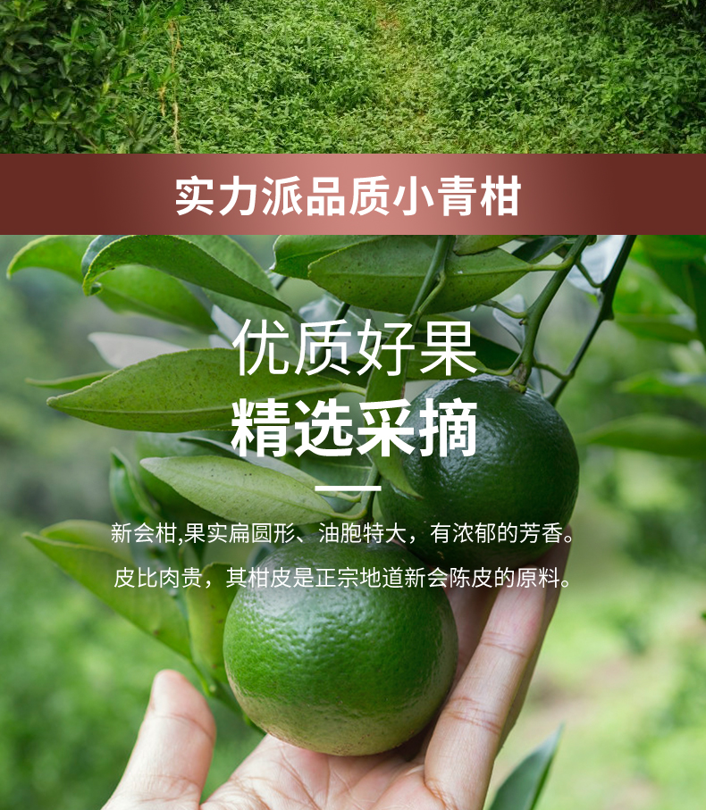 山川饮 新会小青柑+云南宫廷普洱茶 250g礼盒装 约30颗 图4