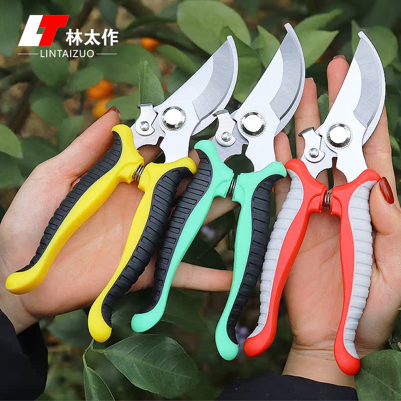 Flower Cut Branches Gardening scissors Pruning Pruning labor-saving Pruning Twigs Fruit Trees Bamboo for garden flowers Special floral clippers-Taobao