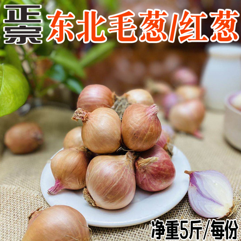 Shallot Northeast shallot large farmers grow fresh jap head round onion red onion small shallot 5 pounds