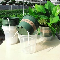 Lazy automatic absorbent currant pot gardening flowerpot balcony fleshy pot home simple round green flower specials