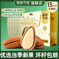 Forest flavor Northeastern organic open red pine nut hand-peeled large nut snacks 490g
