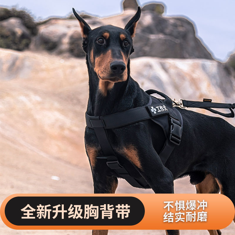 Superior dog Traction Rope Chest of a large dog Dog Rope Dod Shepherd Blast dog Walking Dog Traction Belt