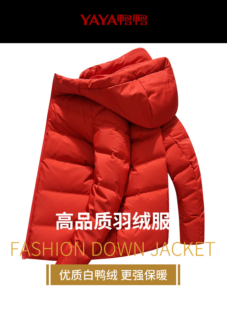 反季特价 鸭鸭 新款男士韩版修身羽绒服 图1
