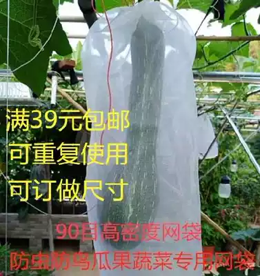 Guava fruit bag Grape anti-bird anti-fly tomato melon protective cover Fruit forest insect net insect net bag
