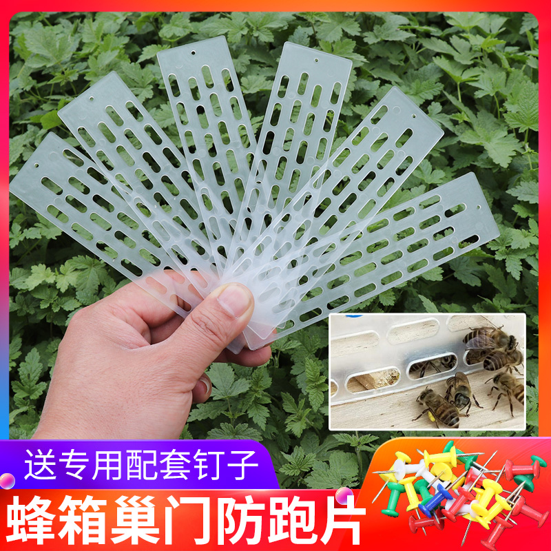 Plastic Queen Bee anti-Run sheet Bee Special Anti-Escape Sheet Bee Box Nest Door Theft Protection Sepp King Beekeeper Beekeeper Beekeeper Tool-Taobao