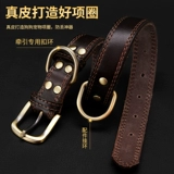 Кожа кожа кожа Pet Dog Кожаное кольцо на заказ латунные гравированные брендские бренды бренда средняя собака большая идентификационная карта собаки