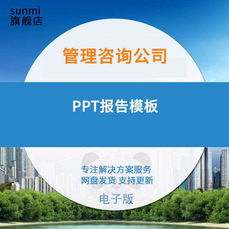 Enterprise management consulting company project report PPT template solution consulting consultant tool manual company enterprise training information management plan report planning case