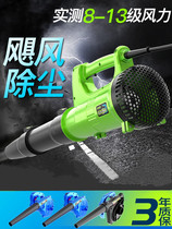 High Pressure Blown Dust Gun Home Electric Blow Suction Dual-use Dust Removal Gun Lengthened Computer Clear Ash Blow Ash Gun Pneumatic Tool