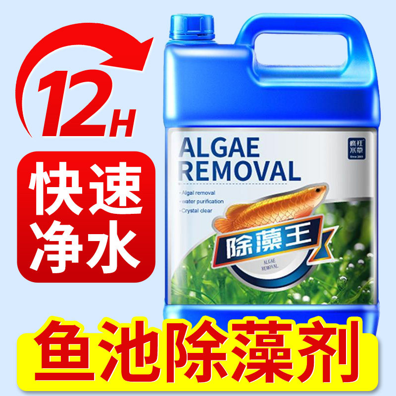 Algae Remover Specifically for Fish Ponds, Does Not Harm Fish, Removes Green Water, Aquarium Green Algae and Moss Remover, Magic Agent for Brown Algae and Duckweed