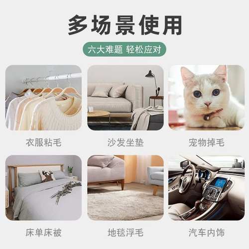 Ковер, диван, электрический свитер, кошки и собаки, домашний питомец