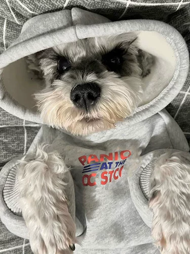 Свитер с капюшоном для любителей собак осенью и зимой чистые цвета теплые кошачьи херы