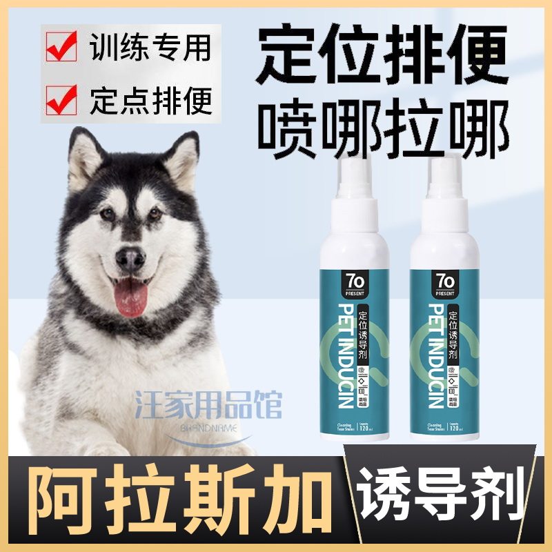 Alaska dedicated dog-inducing agents relieve themselves of toilet guidance with long lasting training for a chaotic urine puppy