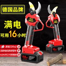 Rechargeable special garden lithium electric scissors thick branch pruning electric scissors electric scissors fruit tree pruning shears