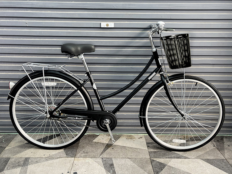 Momentum Momanton loves you iNeed Athena Athena home ordinary male and female student bicycles