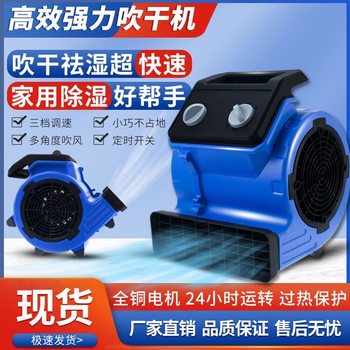 Floor Blower, Commercial Powerful High-Power Toilet Floor Drying and Dehumidifying Fan, Small Household Use