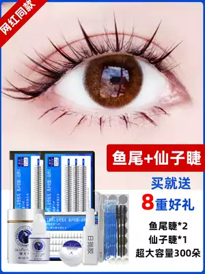 Net red fairy hair grafting eyelash set self-grafting natural simulation fishtail false eyelashes women's single cluster eyelash grafting