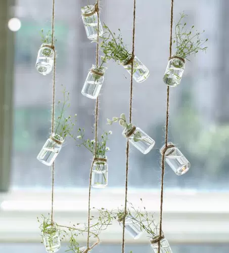 , Зеленое растение гидропонное растение стеклянное подвеска