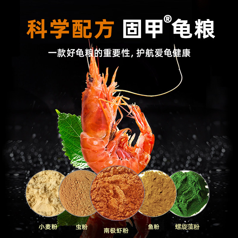 龟粮背后的秘密：如何满足石金钱龟与黄喉小青南石龟的需求