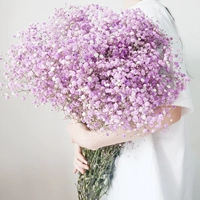 Purple Starry Sky - очень большая куча - 2 котла