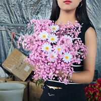 Pink Star 1 Zhaza+отправить 8 симуляционных цветов ромашка