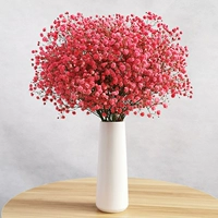 Красный полный звездный луч (без бутылки)