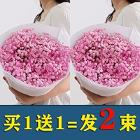 Pink Full Star [купить один, получи один, получи один]