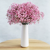 Розовый полный звездный луч (без бутылки)