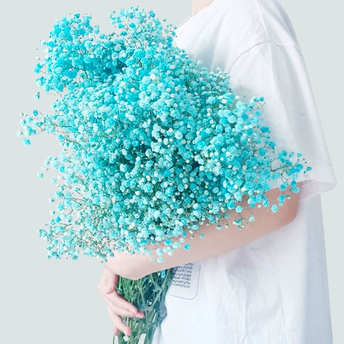 Полный Tianshan Dry Flower Букет настоящие цветы цветочные цветочные украшения украшения маленький свежий воздух сухой ваза